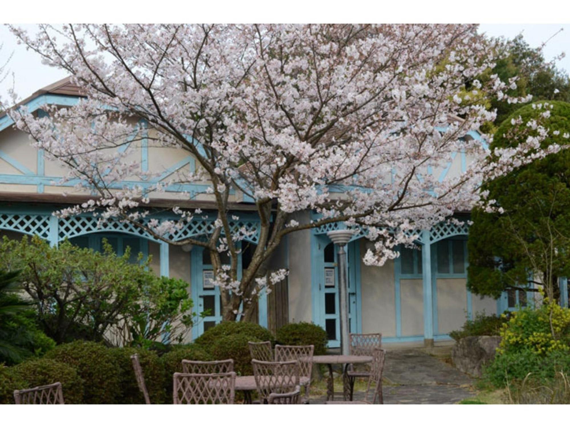 Matsushima Kanko Hotel Misakitei - Vacation Stay 22871V Kami Amakusa Exterior foto